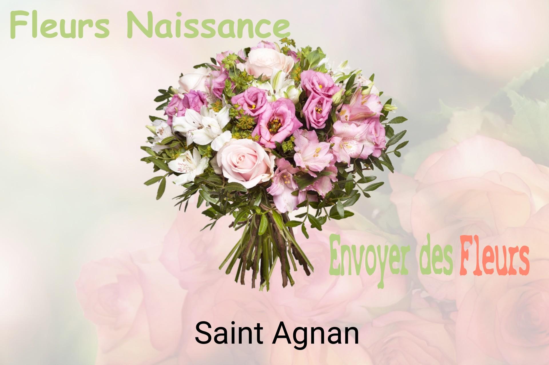 Bouquet de fleurs de naissance livré à Saint-Agnan